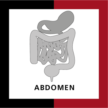 Abdomen-X-AI