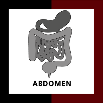 Abdomen-X-AI
