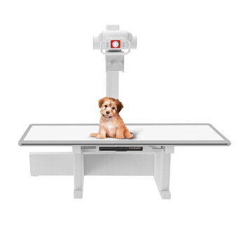 X-DRS Floor für radiologische Untersuchungen an Kleintieren X-DRS Floor für radiologische Untersuchungen an Kleintieren