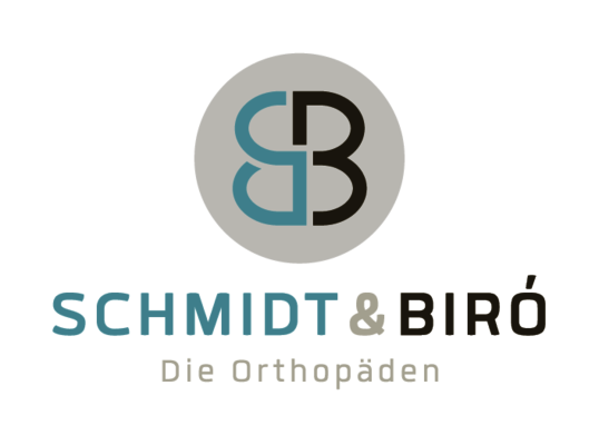 logo Schmidt & Biró