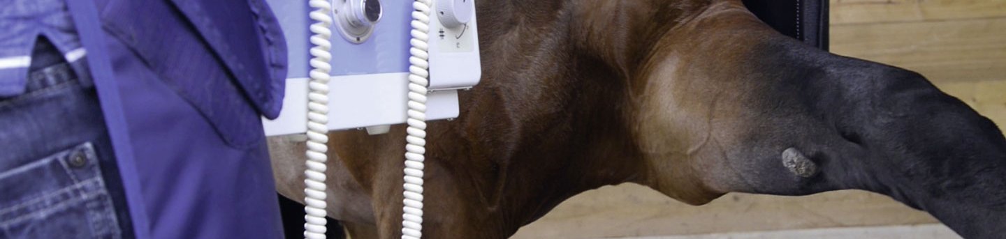 Mobiles Röntgen mit Akku oder Kabel am Pferd