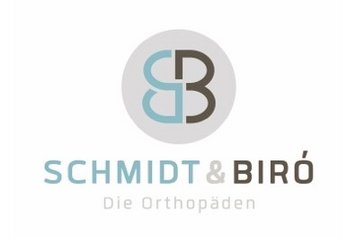 Schmidt & Biro logo